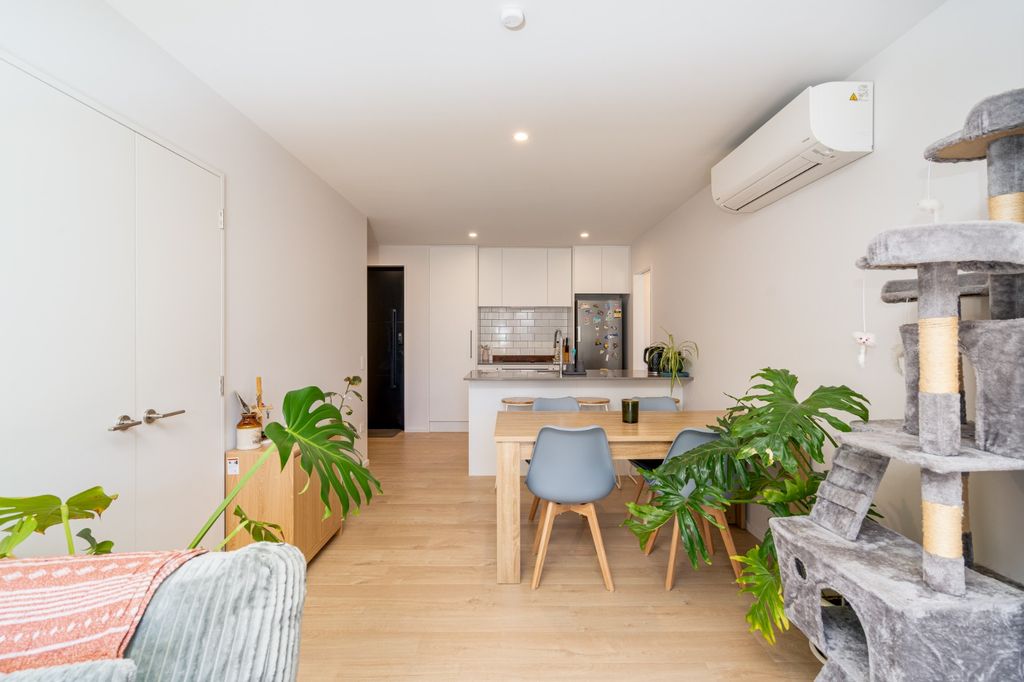 7d Cooke Street, Somerfield 5