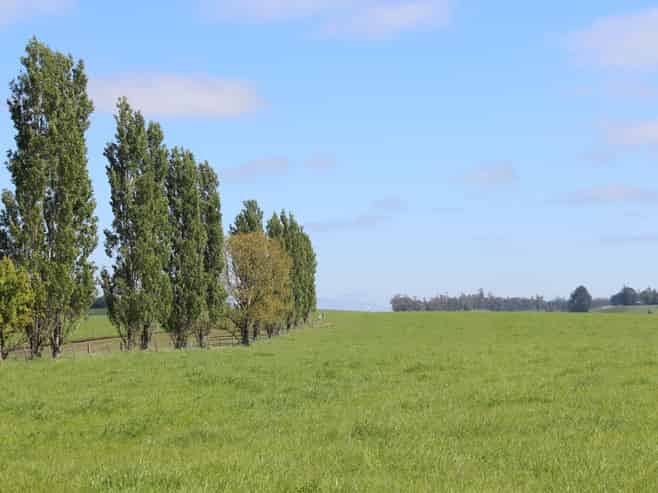 49 McCully Road, Temuka