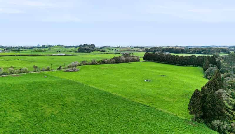 885 Carrington Road, Hurworth