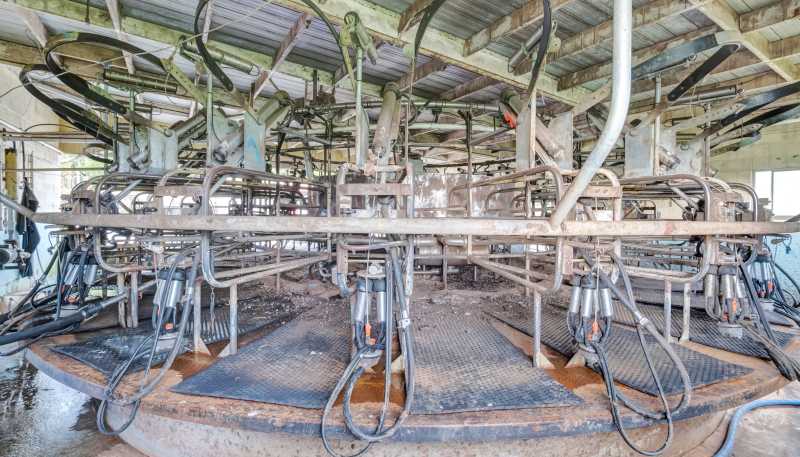 885 Carrington Road, Hurworth