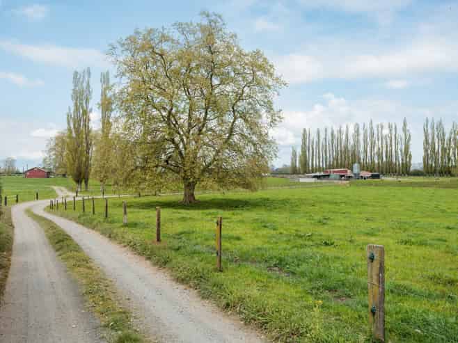 131 School Road, Te Aroha