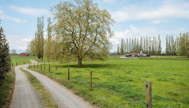 131 School Road, Te Aroha