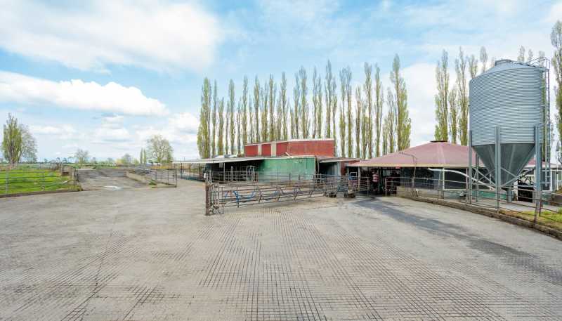 131 School Road, Te Aroha