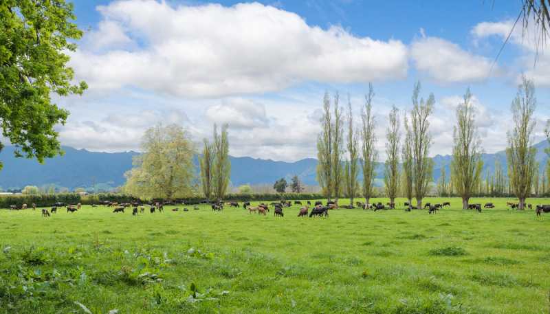 131 School Road, Te Aroha