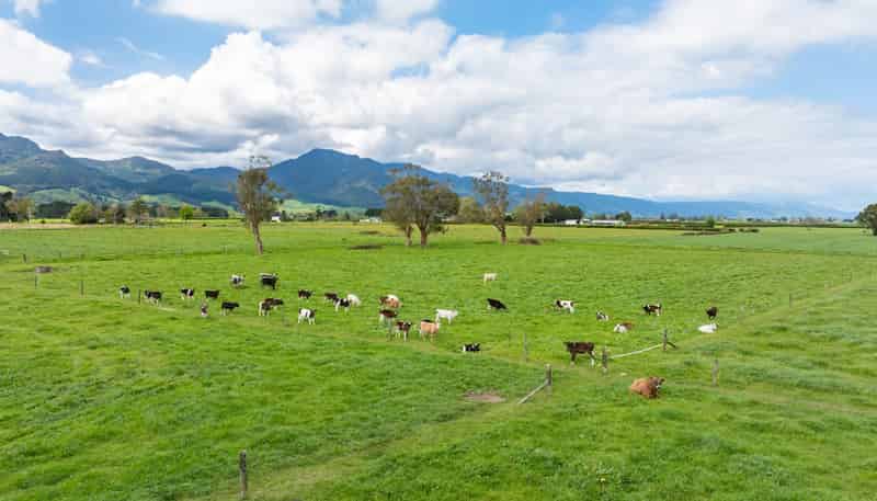 512 Manawaru Road, Te Aroha