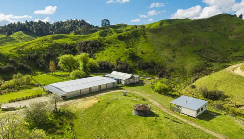 1706A Parikanapa Road, Tiniroto