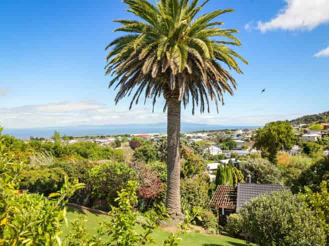 711 Mount Pleasant Road, Thames