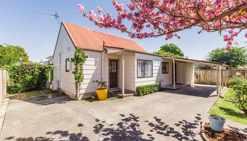 39A Bedford Road, Marewa