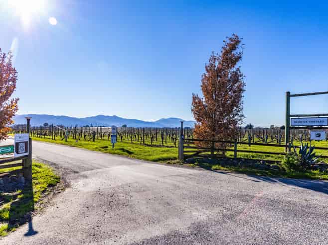 819 Middle Renwick Road, Renwick