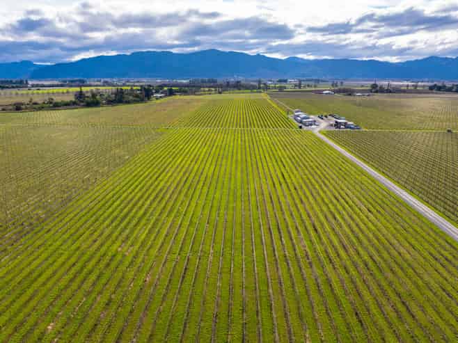 819 Middle Renwick Road, Renwick