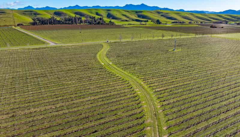 487 Hawkesbury Road, Hawkesbury