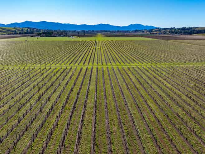 487 Hawkesbury Road, Hawkesbury