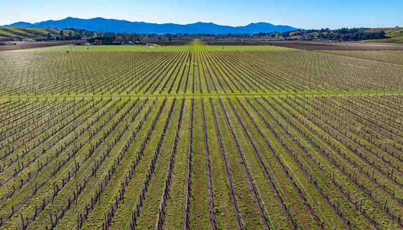 487 Hawkesbury Road, Hawkesbury