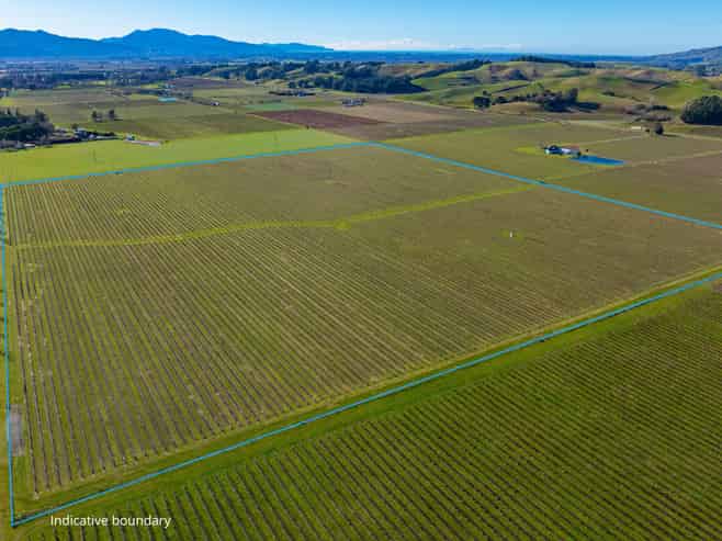 487 Hawkesbury Road, Hawkesbury