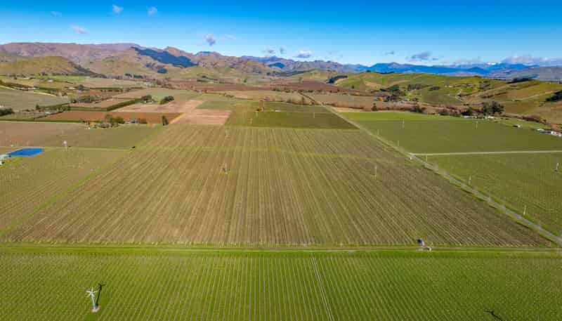 487 Hawkesbury Road, Hawkesbury