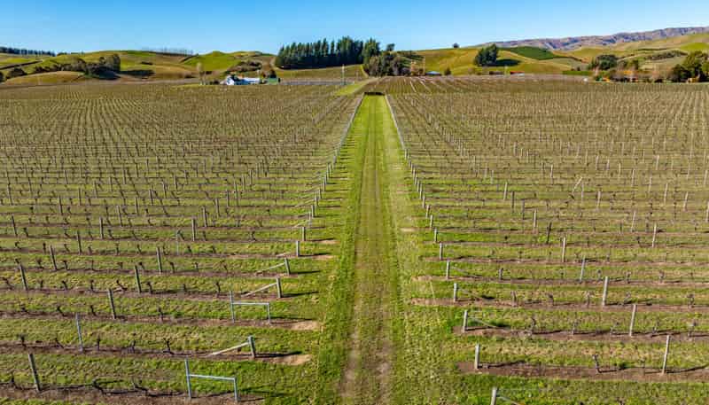 487 Hawkesbury Road, Hawkesbury