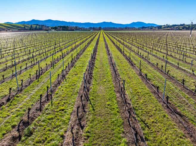487 Hawkesbury Road, Hawkesbury