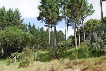 2471 State Highway 1, RD2, Maungaturoto