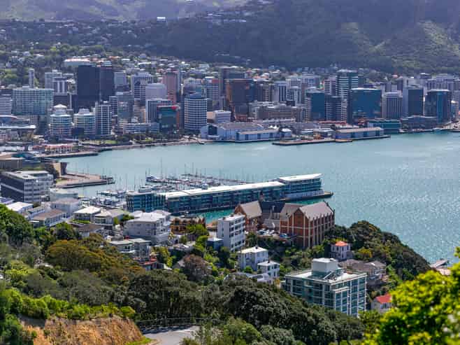 32 Robieson Street, Roseneath