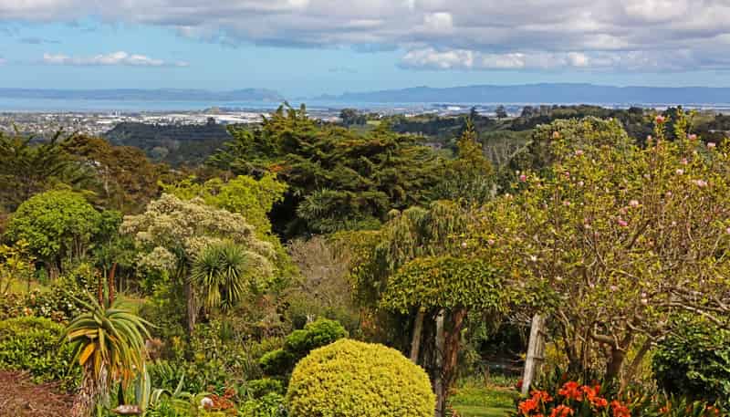 471 Redoubt Road, Totara Park