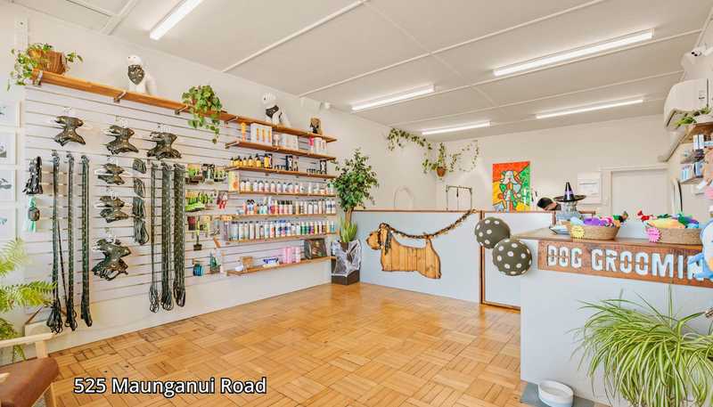 525 & 529 Maunganui Road, Mount Maunganui