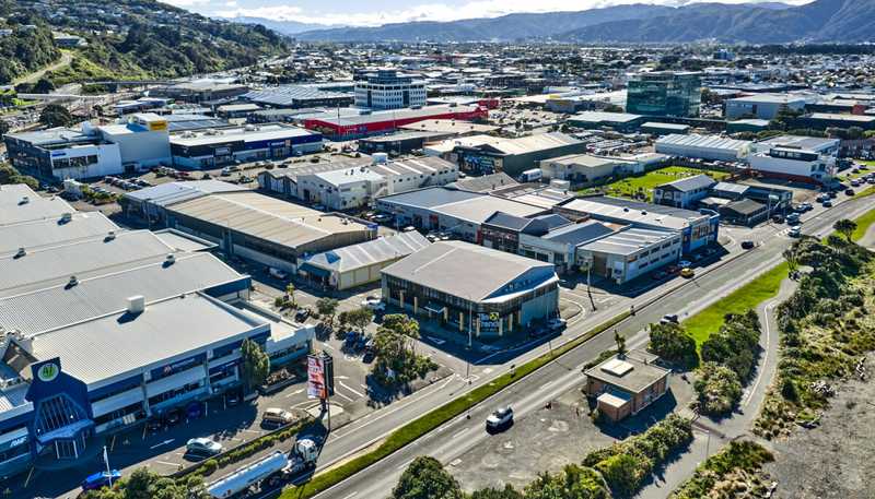 2 Nevis Street, Petone