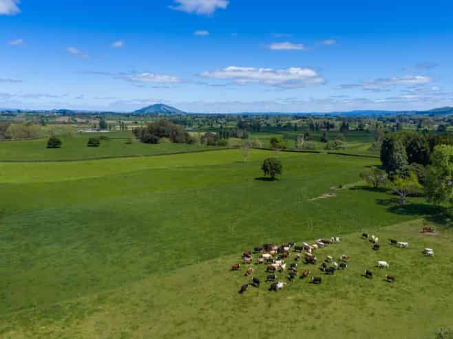 315 Forkert Road, Ohaupo