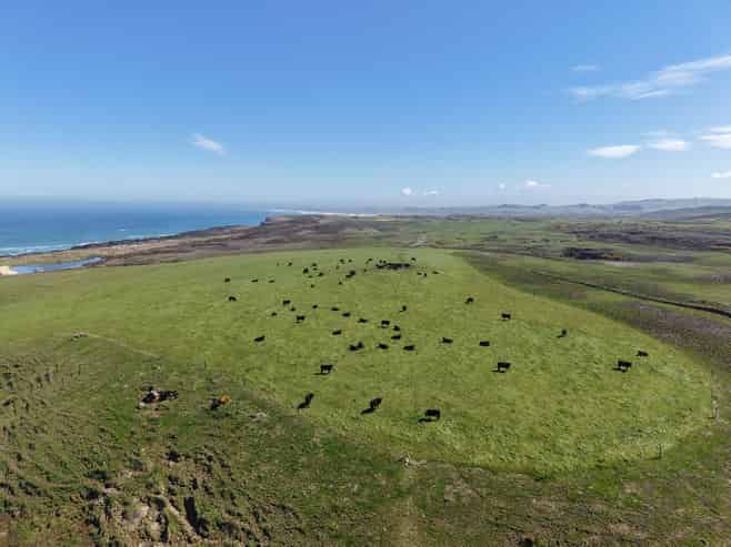 769 Slope Point Road, Haldane
