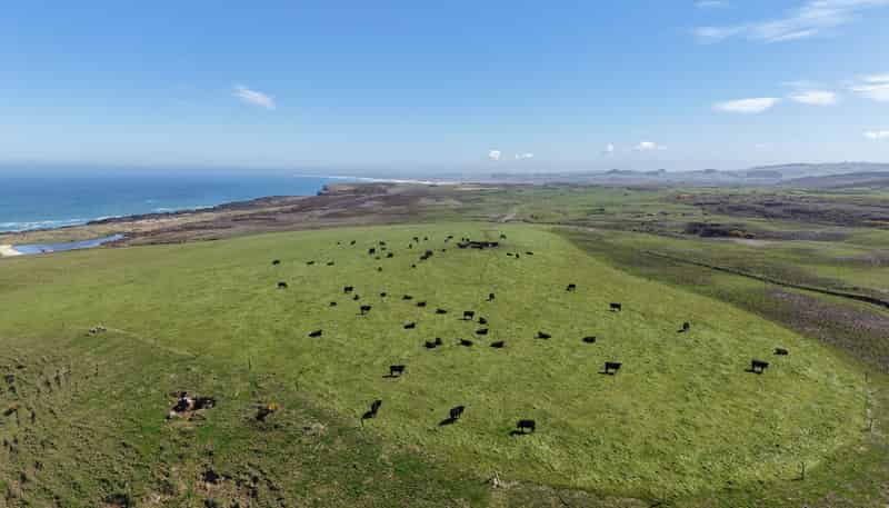 769 Slope Point Road, Haldane