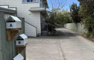 C/217 Clifford Street , Whataupoko