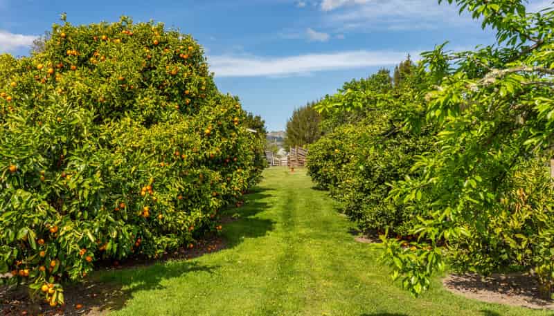 353 Te Aute Road, Havelock North