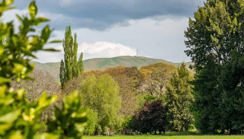 353 Te Aute Road, Havelock North