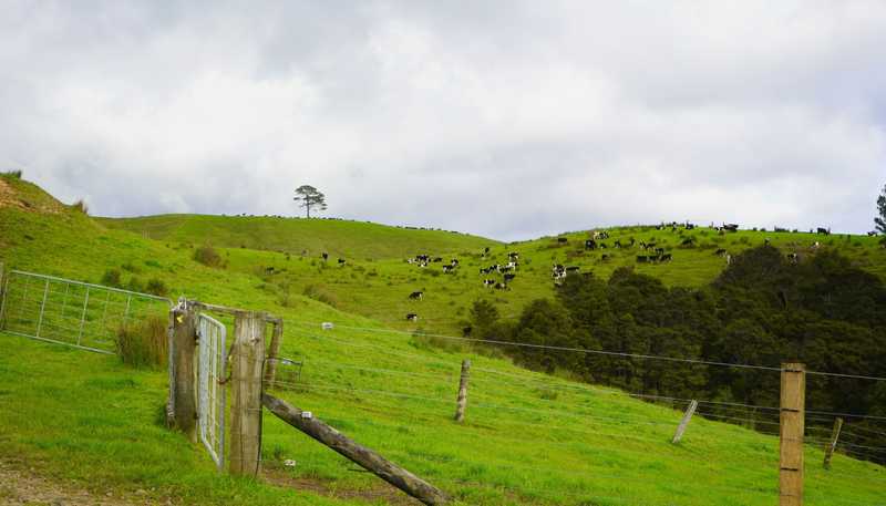591D East Coast Road, Kaiaua