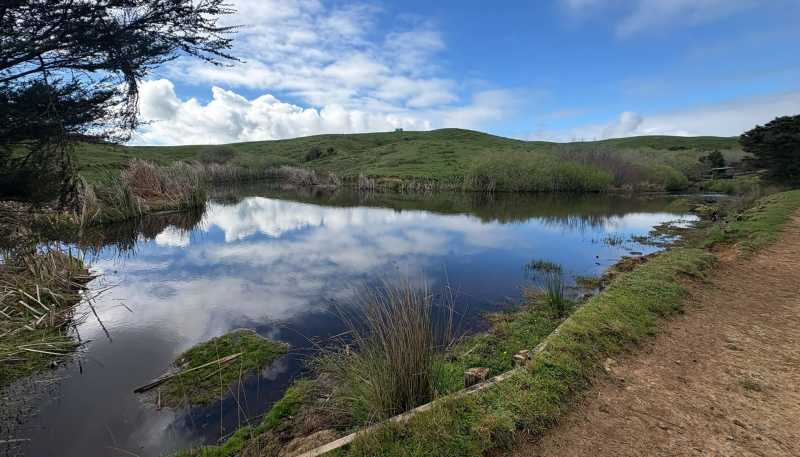 591D East Coast Road, Kaiaua