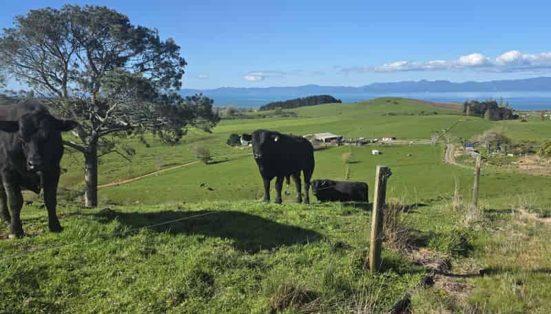 591D East Coast Road, Kaiaua