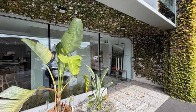  33 Ireland Street, Freemans Bay
