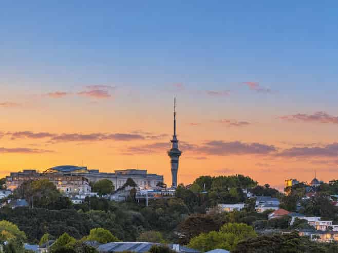 20d Wiles Ave, Remuera