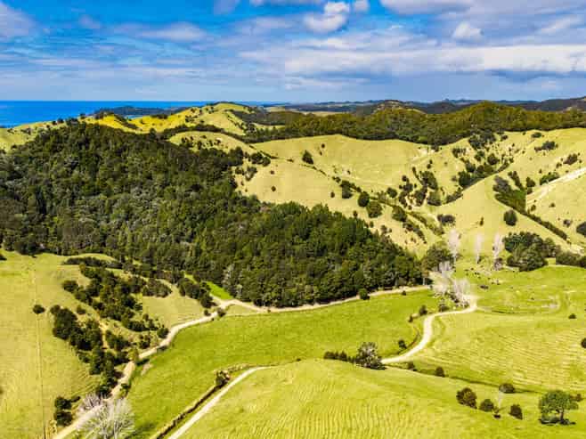 570 and 69 Whananaki South Road, Whananaki