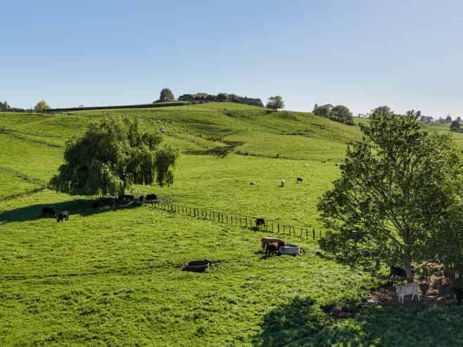 Lot 2, 287 Howden Road, Temple View
