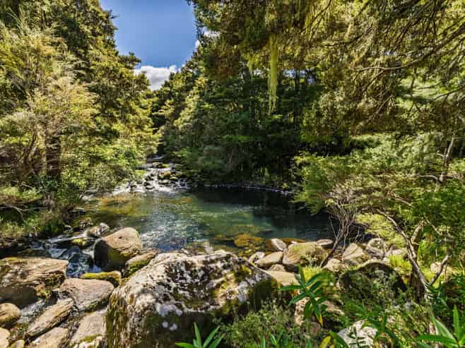 43z Blue Gum Lane, Kerikeri