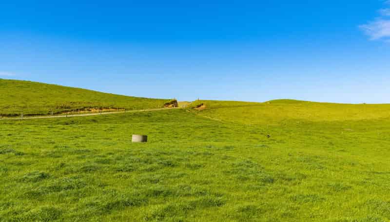 559 Mahuta Road, Dargaville