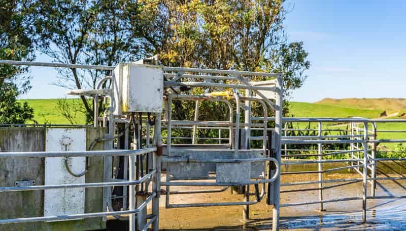 559 Mahuta Road, Dargaville