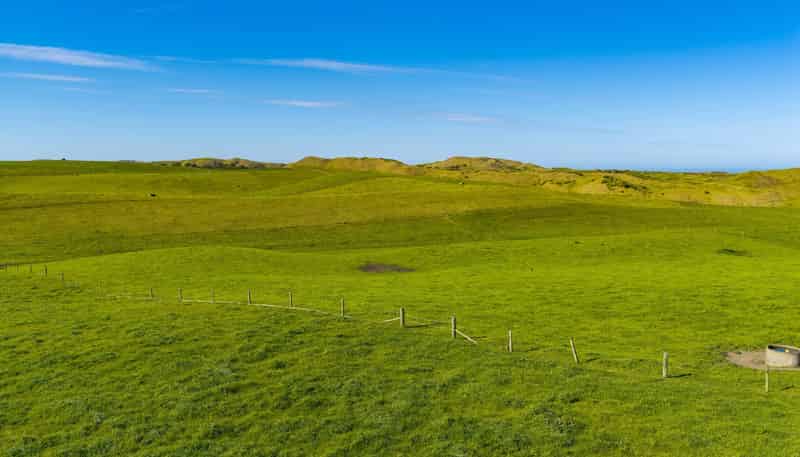 559 Mahuta Road, Dargaville