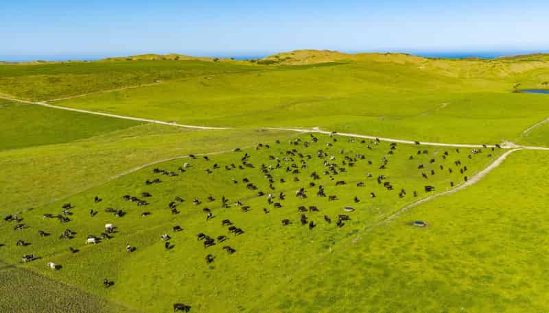 559 Mahuta Road, Dargaville