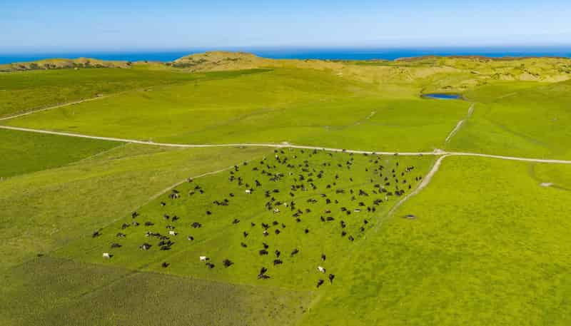 559 Mahuta Road, Dargaville