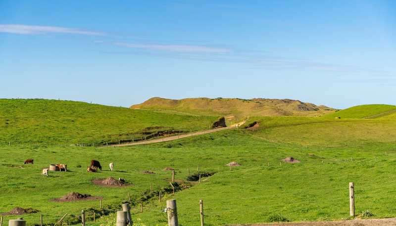 559 Mahuta Road, Dargaville