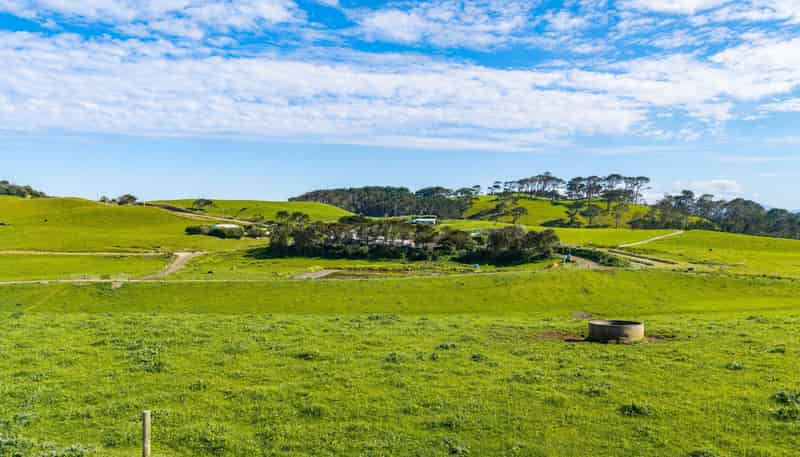 559 Mahuta Road, Dargaville