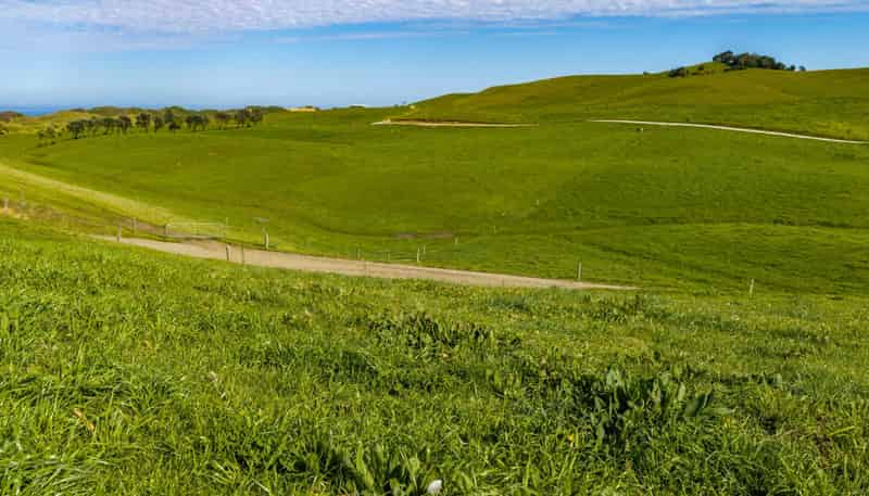 559 Mahuta Road, Dargaville