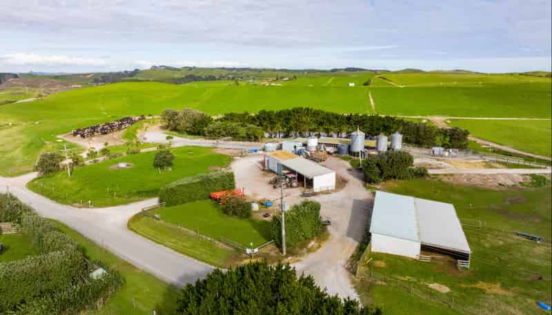 559 Mahuta Road, Dargaville