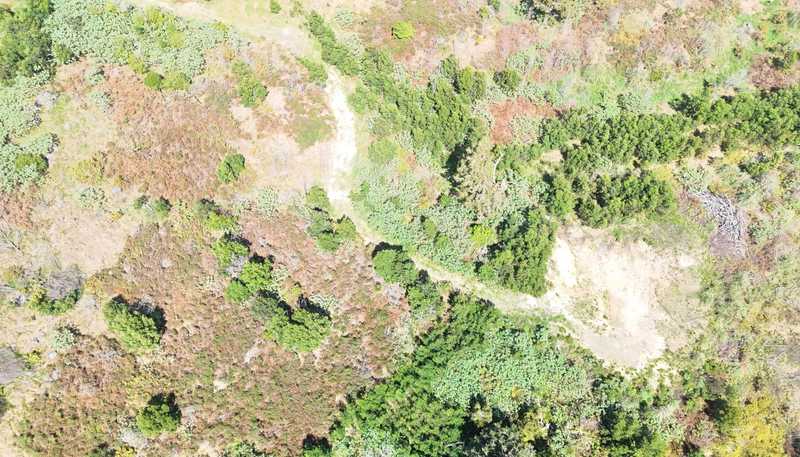 272 Waikuku Road, Waimate North